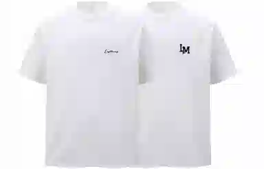 LIGHTNING MONSTER logoT