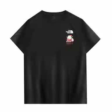 THE NORTH FACE T