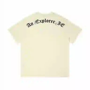 IE logoT