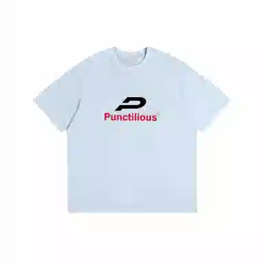 PUNCTILIOUS T