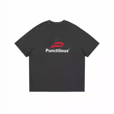 PUNCTILIOUS T