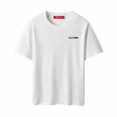 DOUBLEFISH Logo220gT