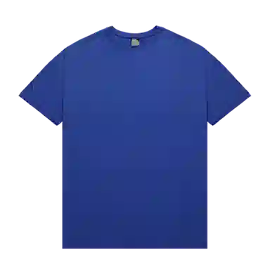 BLUESFLY T