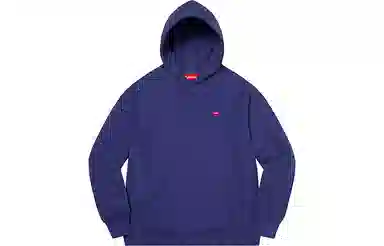 Supreme SS21 Week7 Small Box Hooded Sweatshirt Box Logo