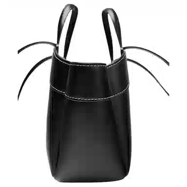 ZARA Tote