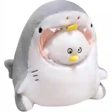 30cm40cm