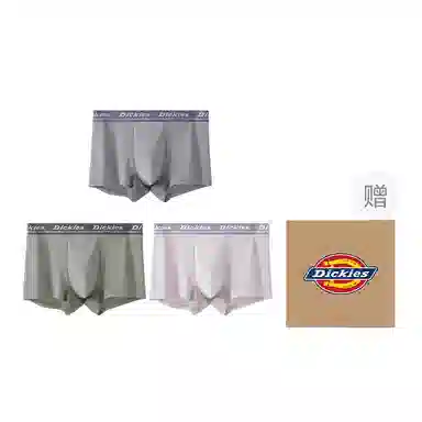 Dickies 3