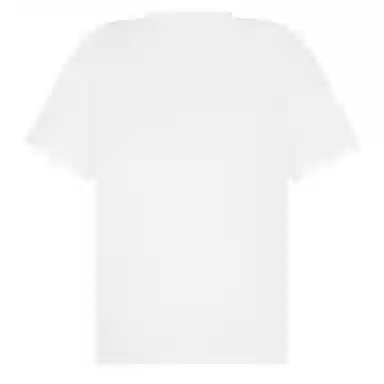 Sanjati logoins T