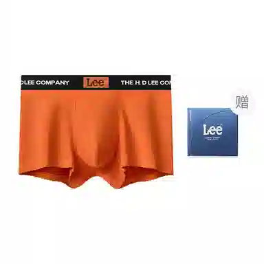 Lee 101 LOGO 1