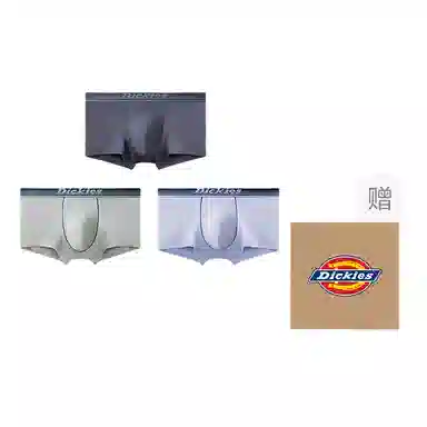 Dickies 3