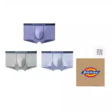 Dickies 3