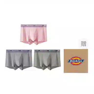 Dickies 3