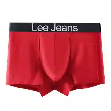 Lee 3