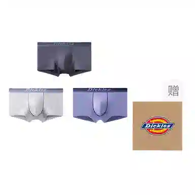 Dickies 3