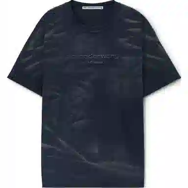 alexander wang T