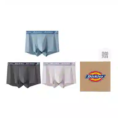 Dickies 3
