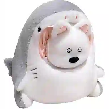 30cm40cm