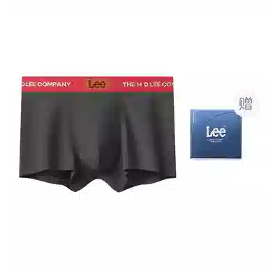 Lee 101 LOGO 1