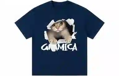 GRAMICA T
