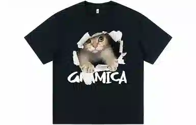 GRAMICA T
