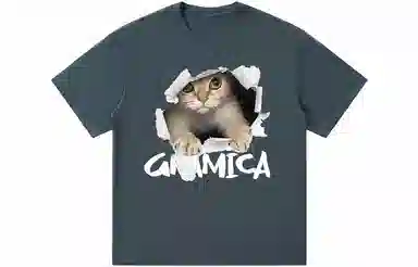 GRAMICA T