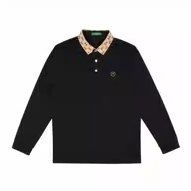 Raidy Boer T
