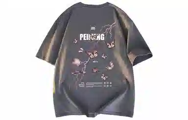 PEIMENG T