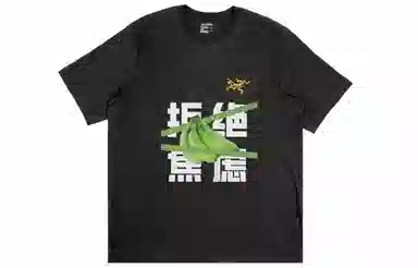 Arcteryx Multi Bird Logo Ss LogoT