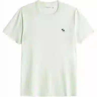 AbercrombieFitch T
