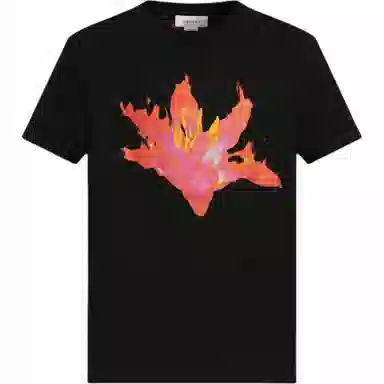 Alexander McQueen T