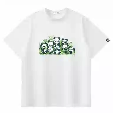 HIPANDA T