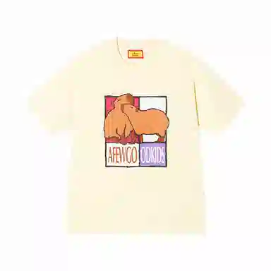 AFGK 24SST
