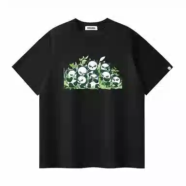 HIPANDA T