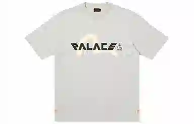 Palace x Evisu SS24 T-Shirt Grey