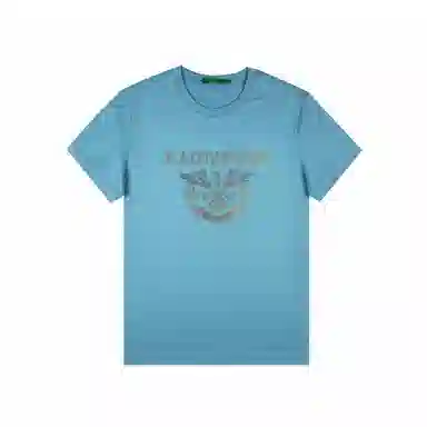Raidy Boer T