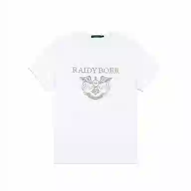 Raidy Boer T