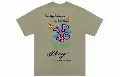 PCMY T
