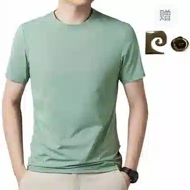 PIERRE CARDIN T