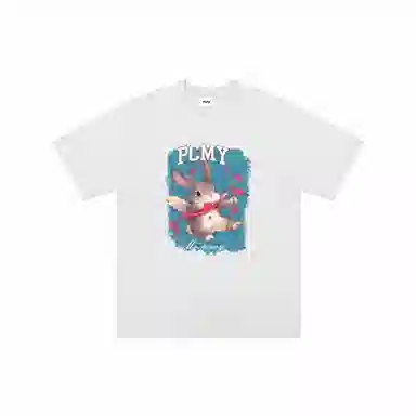 PCMY T