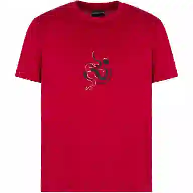 EMPORIO ARMANI SS25 T