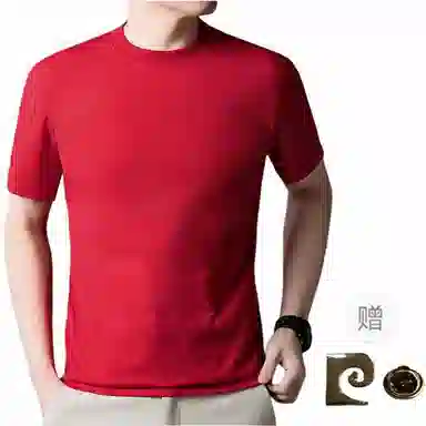 PIERRE CARDIN T