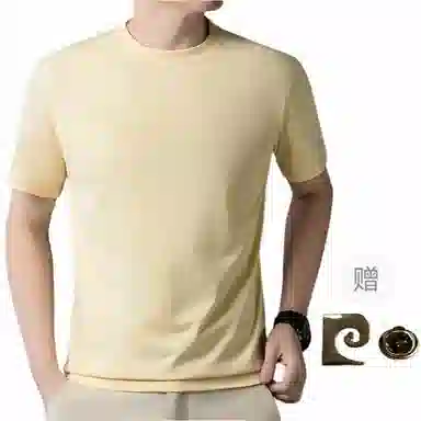 PIERRE CARDIN T