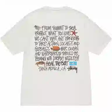 Stussy x Heal The Bay SS24 T