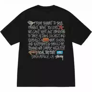 Stussy x Heal The Bay SS24 T