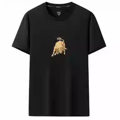 Automobili Lamborghini logoT