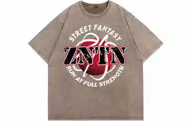ZNTN Logo T