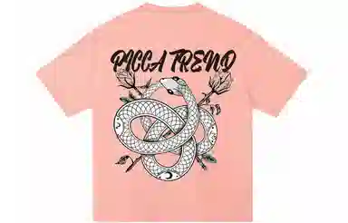 Picca LogoT