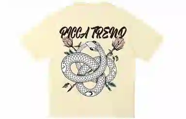 Picca LogoT