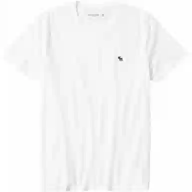 AbercrombieFitch logoT