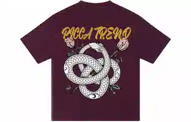 Picca LogoT